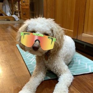 Meet your Posher, Ava